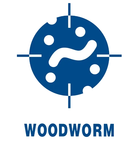 WOODWORM-ICON-&-TYPE-IN-BLUE